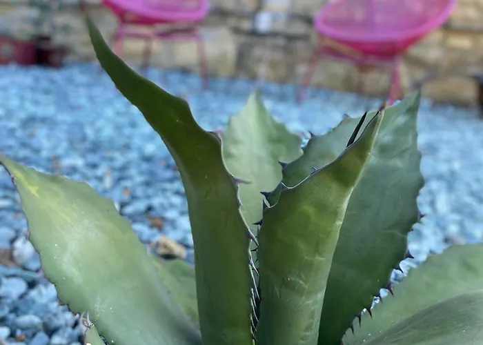 アパート Sotto Il Fico *